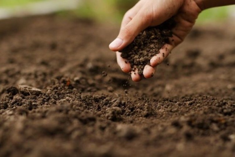 امسال روز جهانی خاک با شعار "خاک سرآغاز غذا" برگزار می‌شود