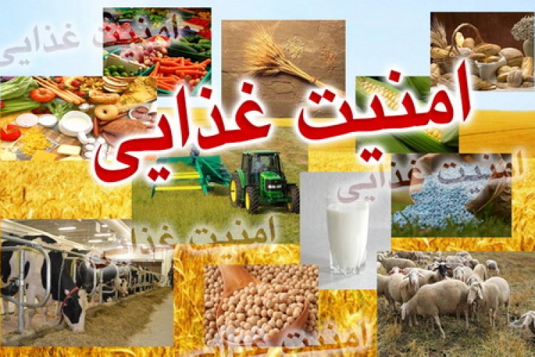 سند ملی تغذیه و امنیت غذایی بزودی تصویب می‌شود