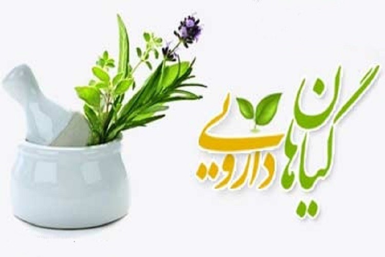 بزرگترین پالایشگاه گیاهان دارویی خراسان رضوی آماده بهره‌برداری است