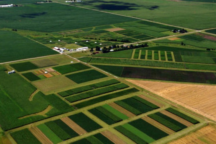 کشاورزی کربنی به کسب و کار موفق در صنعت کشاورزی تبدیل می‌شود