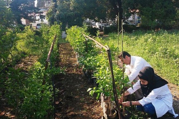 خبر خوش برای فارغ‌التحصیلان کشاورزی