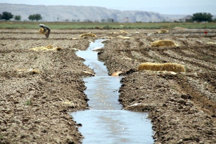 ۹۰ درصد آب استحصال شده صرف کشاورزی اشتباه می‌شود