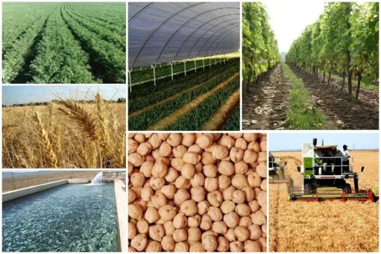 افتتاح ۲۹۴ پروژه بخش کشاورزی استان اردبیل در دهه فجر