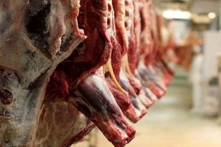 تورم نقطه به نقطه تولید گوشت قرمز در کشور چقدر است؟