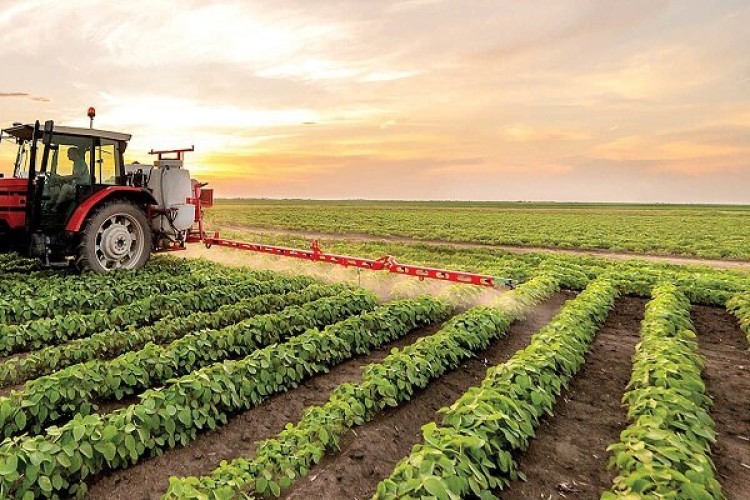 صادرات ۶.۲ میلیارد دلاری کشاورزی در ۱۴۰۲