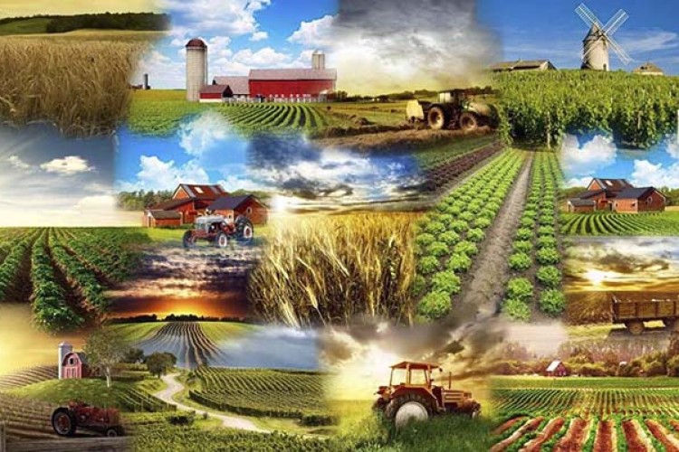 سامانه ثبت نام متقاضیان کشاورزی فراسرزمینی معرفی شد