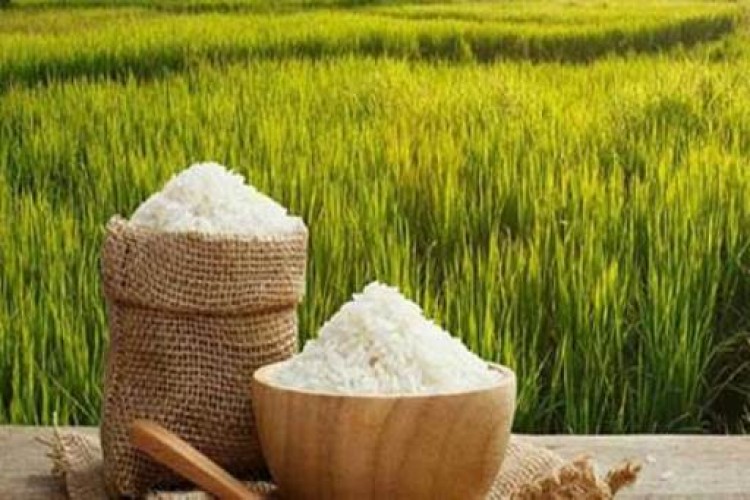 نوسازی شالیکوبی‌ها موجب افزایش راندمان و ارتقای کیفیت برنج تولیدی می‌شود
