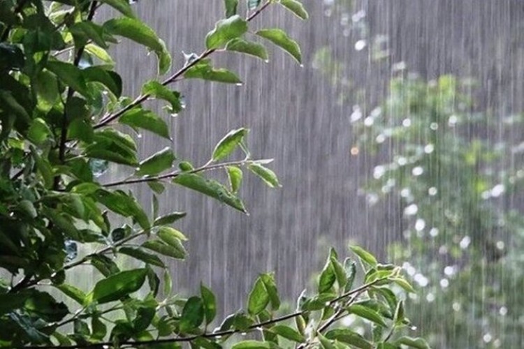 میزان بارندگی در همدان بالاتر از میانگین کشوری است