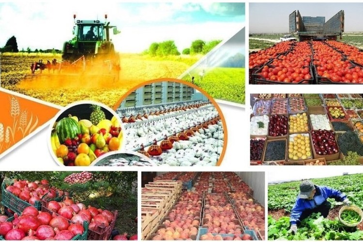 چهارمحال و بختیاری توانایی انبارداری محصولات کشاورزی را دارد