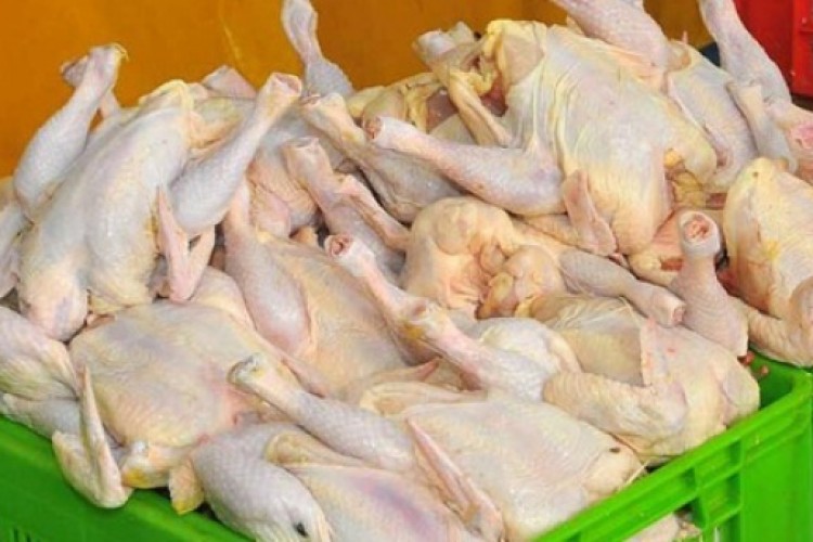 صادرات مرغ مازاد، آزاد شد
