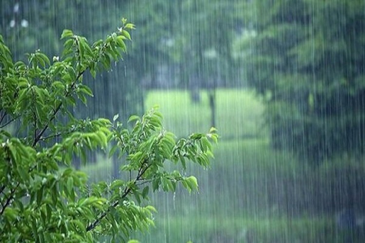 رئیس مرکز خشکسالی : سال آبی جاری با بارش‌های نرمال به پایان می‌رسد