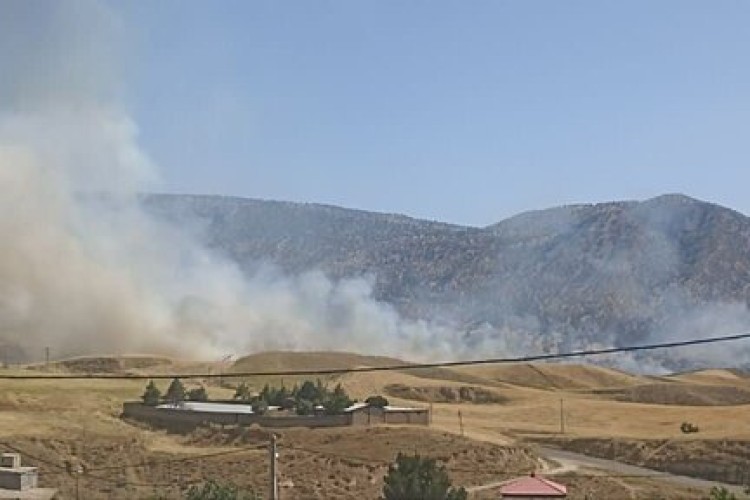 معرفی ٣٠۵ فرد خاطی در آتش زدن مزارع کشاورزی لرستان به مراجع قضایی