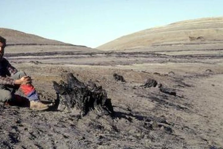 اینجا جنگل درختان گردوی «40 میلیون‌ساله» است