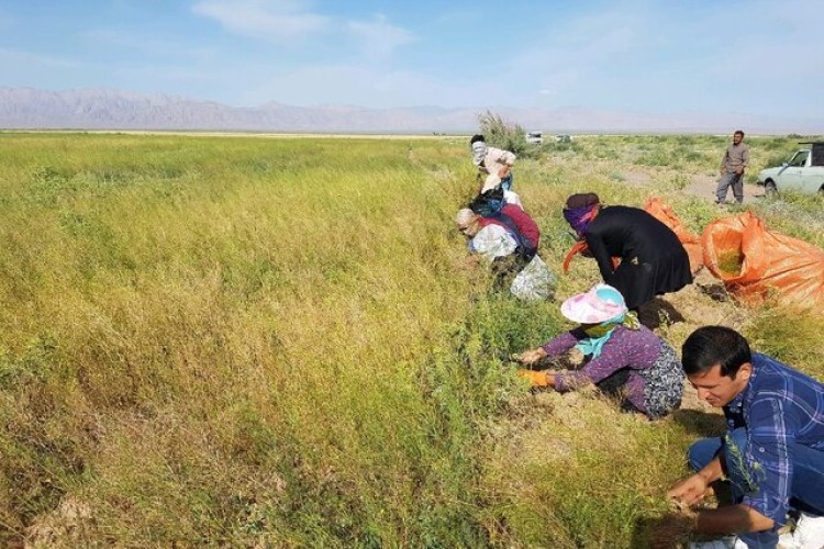 رونق بخشی کشاورزی صالح‌آباد در گرو تخصیص اعتبارات بیشتر