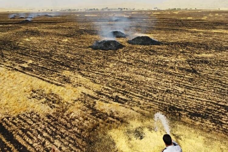 ۶ عامل آتش زدن کاه و کلش مزارع در سلسله دستگیر شدند