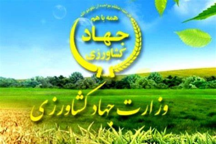 توزیع رانت در کمیته استثنا وزارت جهاد کشاوزی؟/ تخلف آشکار در به هم ریختن بازار عرضه و تقاضا