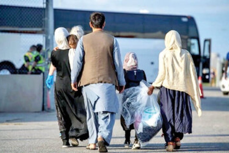 هشدار صریح هاشمی طبا درباره حضور پرتعداد مهاجران افغان در ایران