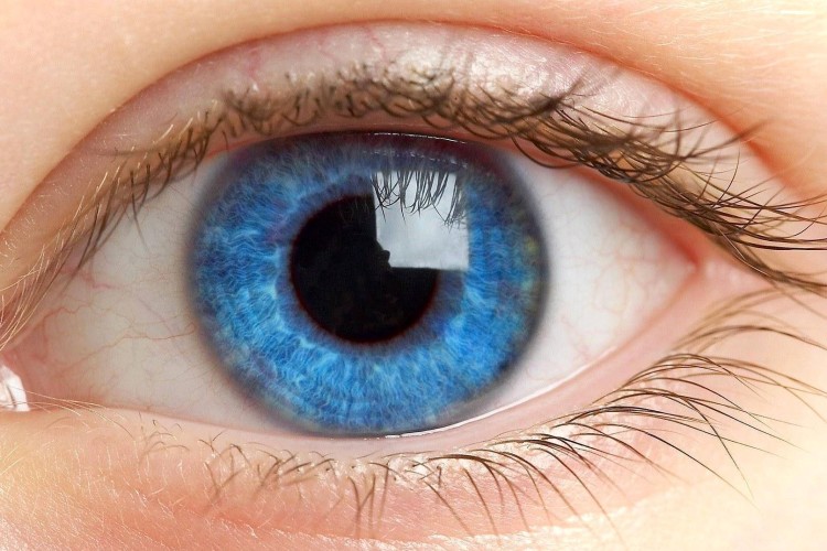 چگونه از بینایی در سن بالا خود مراقبت کنیم؟