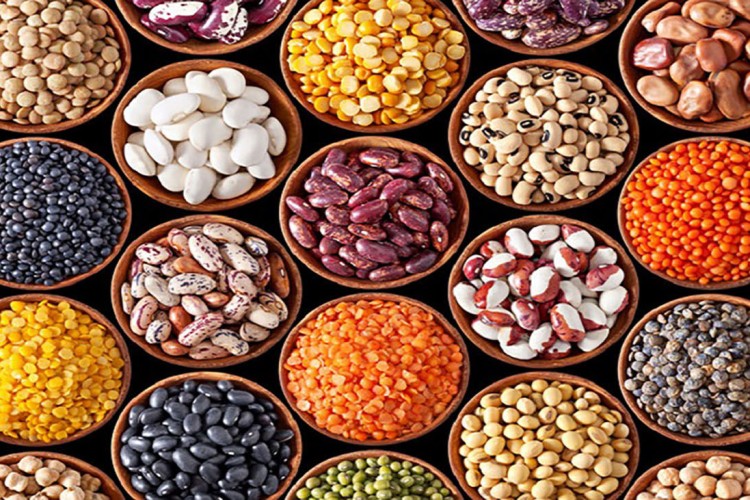 سقوط آزاد قیمت‌ها در بازار حبوبات