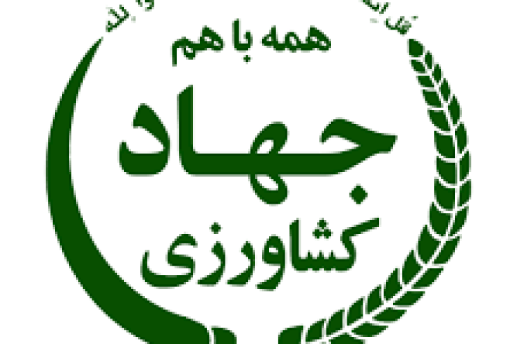 حضور مدیریتی زنان در جهاد کشاورزی بر اساس شایستگی است، نه سهمیه‌بندی