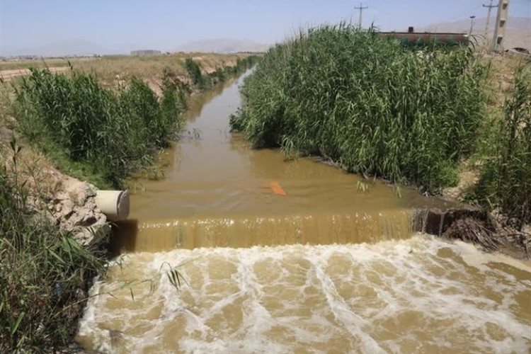 آبیاری اراضی کشاورزی با آب آلوده در البرز