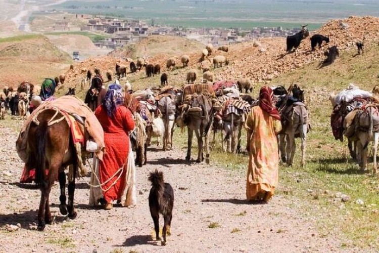 آمادگی کامل برای خدمات‌رسانی بی‌وقفه به عشایر کشور