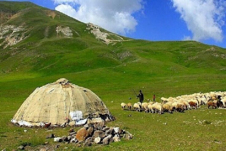 حمایت ۳۰ هزار میلیارد ریالی وزارت کشور از عشایر در شرایط خشکسالی