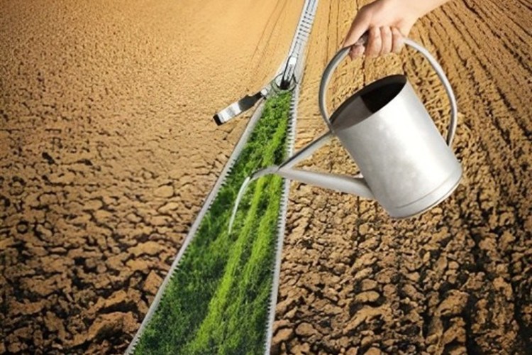 درخواست وزارت جهاد کشاورزی از وزارت نیرو برای ارائه برنامه‌ مدون مصرف آب کشاورزی