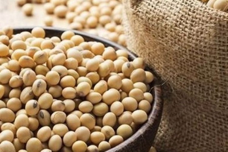 درخواست ترامپ از چین؛ خرید سویای آمریکایی ۴ برابر شود