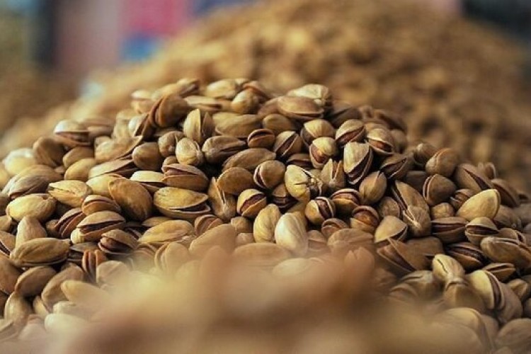 رویداد گردشگری پسته در زاهدان برگزار می‌شود