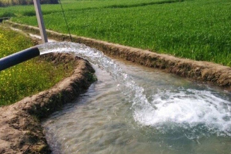 الگوی کشت برمبنای آب تخصیصی بخش کشاورزی اجرا می شود