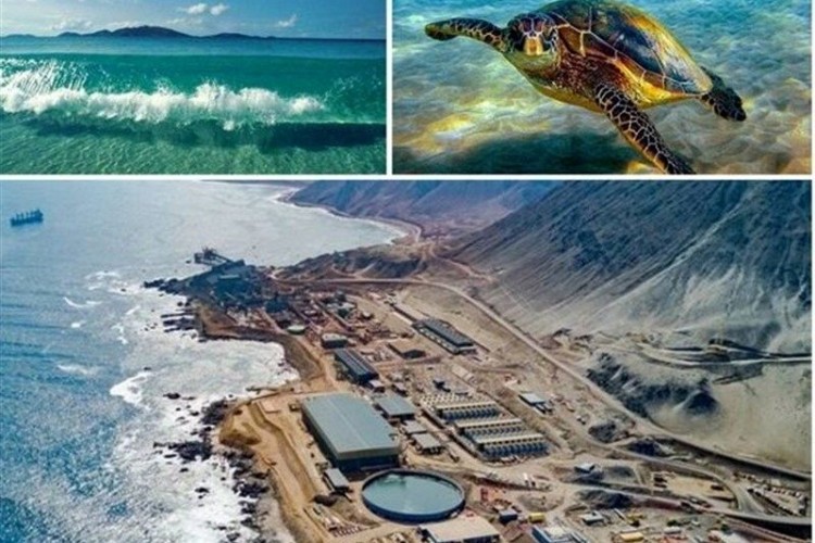خطر بیخ گوش جزایر زیبای کیش و قشم /آب شیرین‌کن‌های غیر مجاز خاموش محیط زیست