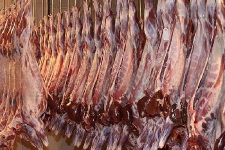 سوداگری در بازار دام و گوشت قرمز
