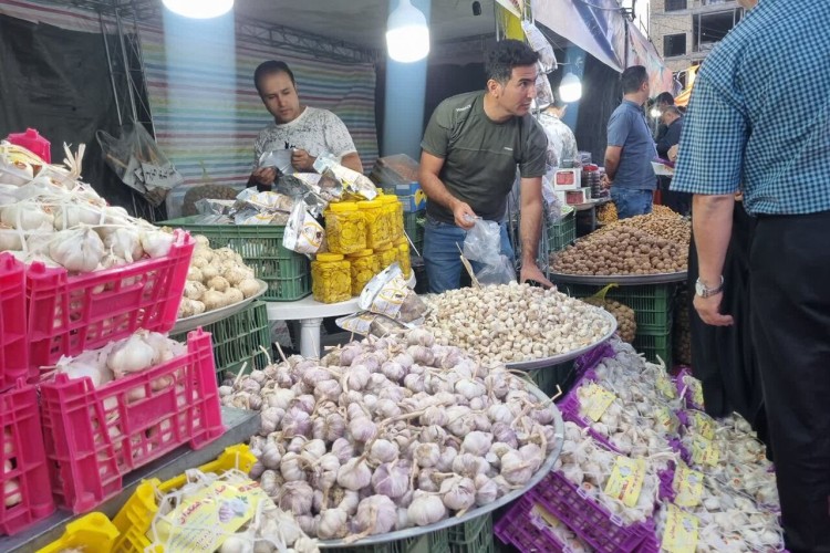 اراضی مرغوب نباید به بهای ایجاد شهرک سیر از بین برود