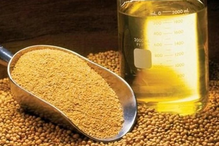 آغاز ثبت سفارش جدید واردات روغن خام از امروز 22 شهریور
