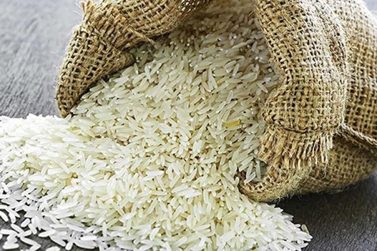 واکنش المیرا شریفی مقدم به اظهارات عجیب وزیر جهاد کشاورزی: مردم توانستند، برنج بخرند، نتوانستند هم هیچ!