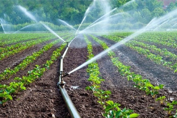 توسعه سامانه‌های نوین آبیاری راهبرد وزارت جهاد کشاورزی است