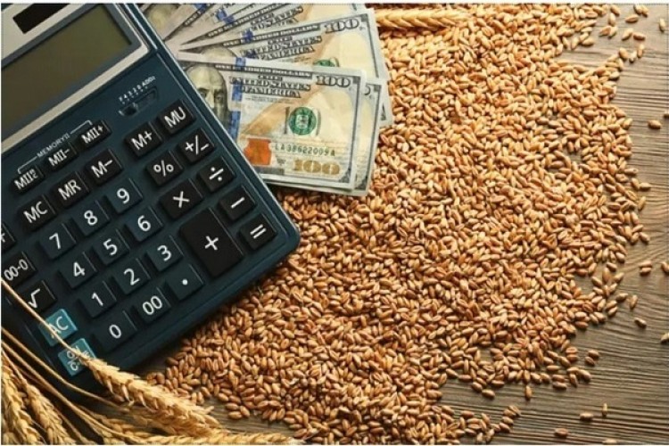 زنگ هشدار برای امنیت غذایی به صدا درآمد / وزارت جهاد کشاورزی چه پاسخی دارد؟