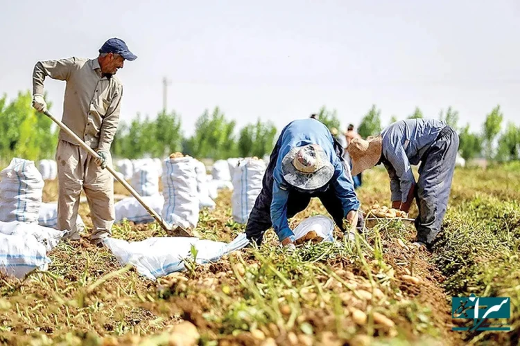 محصولاتی از ایران در ۸۰ کشور جهان