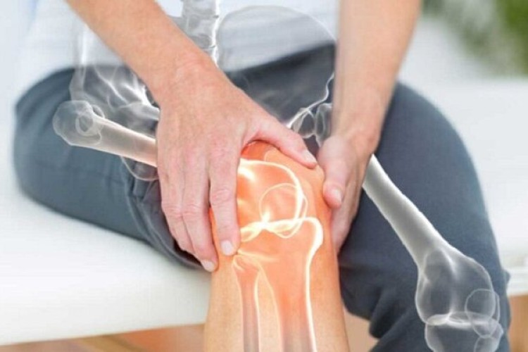 لبنیات، ویتامین D و تحرک؛ مثلث طلایی سلامت استخوان‌ها از کودکی تا کهنسالی