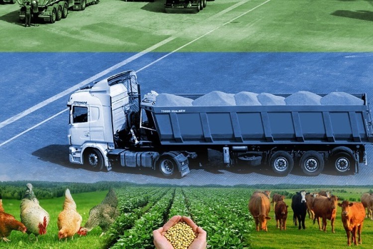 فروپاشی تولید پروتئین به خاطر قفل ارزی / جو و سویا گرسنه ماندند