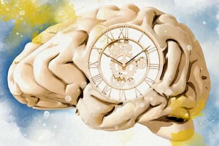دانشمندان پاسخ میدهند: چرا هرچه سنمان بالاتر میرود زمان زودتر میگذرد؟