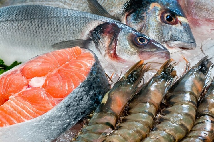هدف‌گذاری برای تأمین ۳۵ درصد پروتئین مصرفی از آبزیان