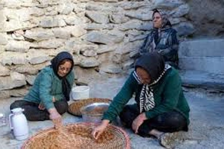 چه کسانی می‌توانند در صندوق بیمه اجتماعی روستاییان خود را بیمه کنند؟