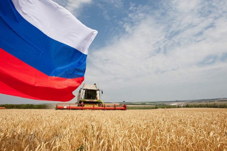 درآمد مسکو از کشاورزی بیشتر از فروش تسلیحات است