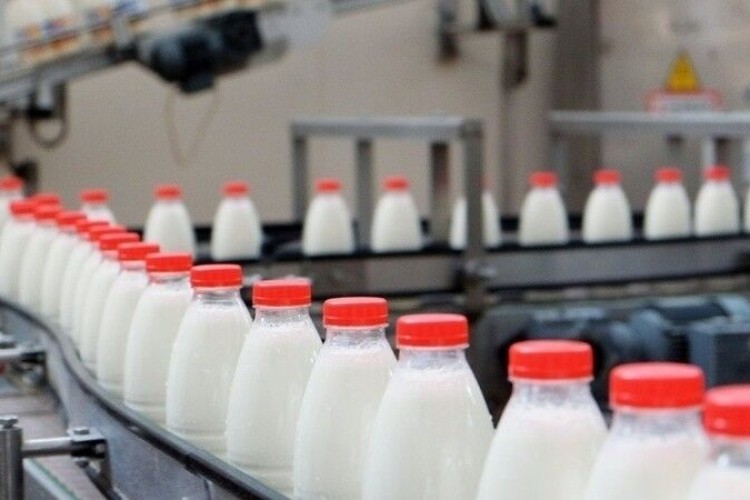 افزایش ۳۰ درصدی قیمت محصولات لبنی