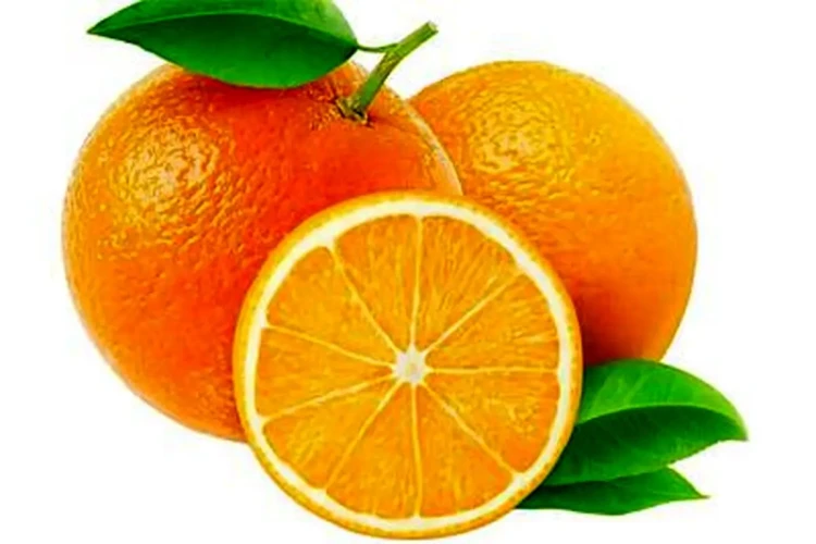 چرا خرید پرتقال ایرانی در آبان ۱۴۰۴ ممنوع شد؟