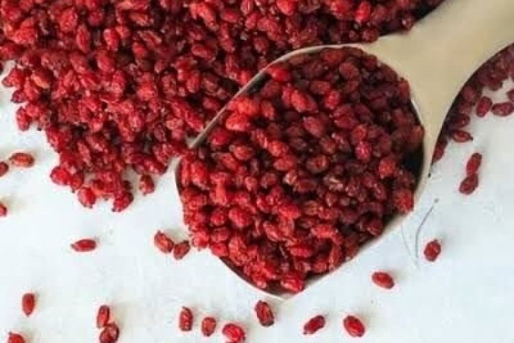 زرشک چگونه به تعادل صفرا و سلامت کبد کمک می کند؟