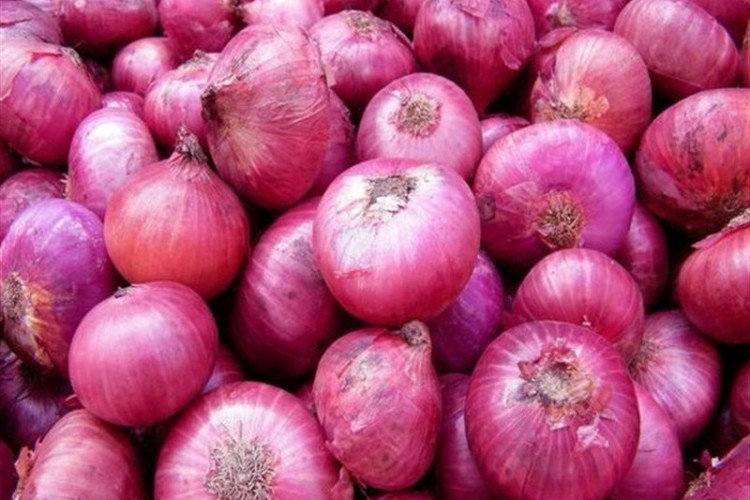 بیماری سفیدک پیاز، با فناوری هسته‌ای قابل کنترل است