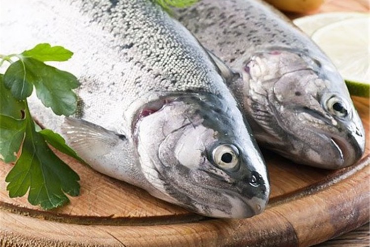 کمیته ملی تخصصی واکسیناسیون آبزیان تشکیل شد